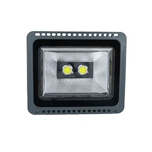 foco led cob 100w lupa